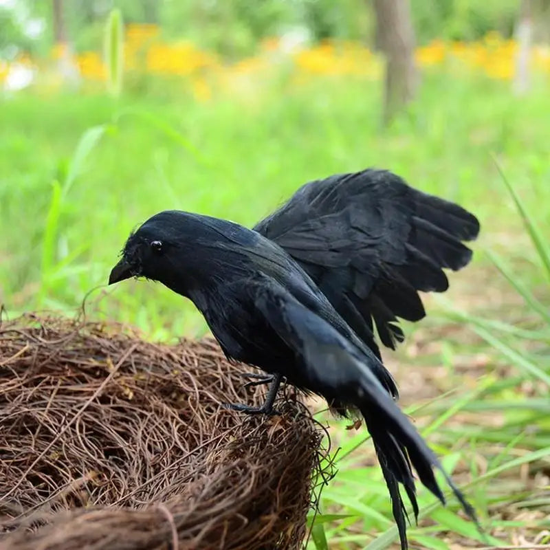 Fake Crow Decoration