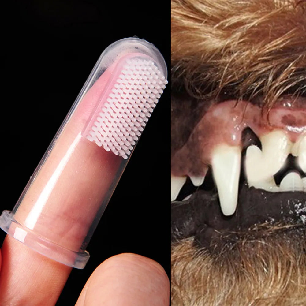 Silicone Tooth  Pet Brush