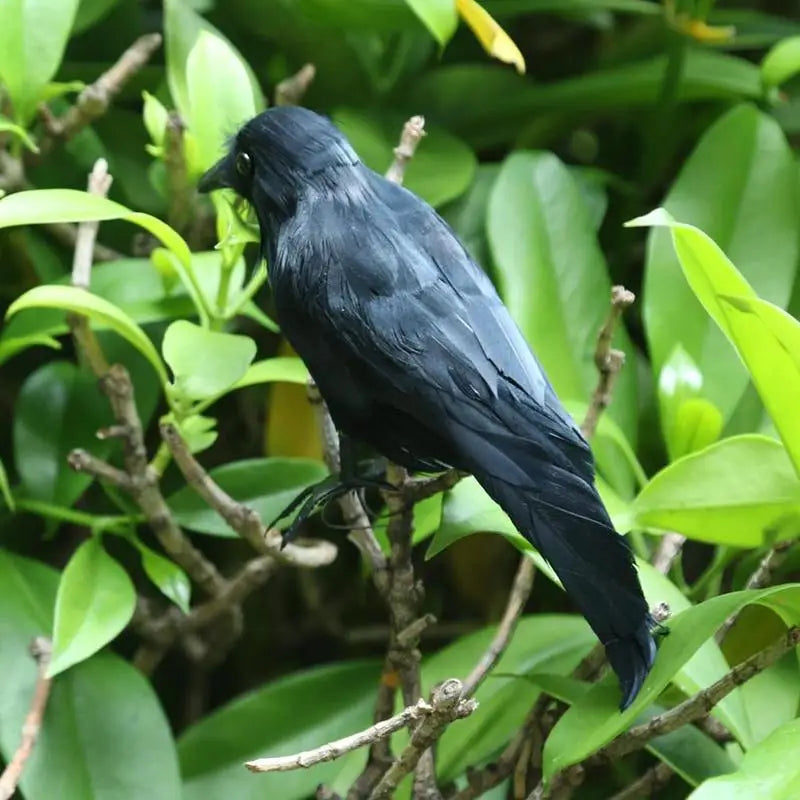 Fake Crow Decoration