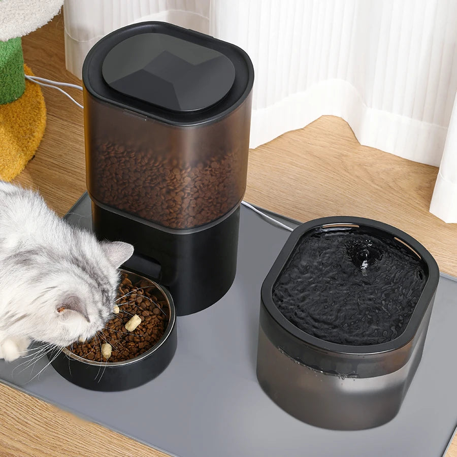 Automatic Cat Feeder