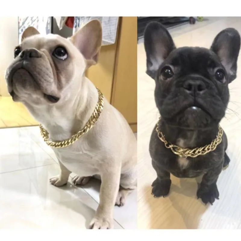 Dog Gold Chain