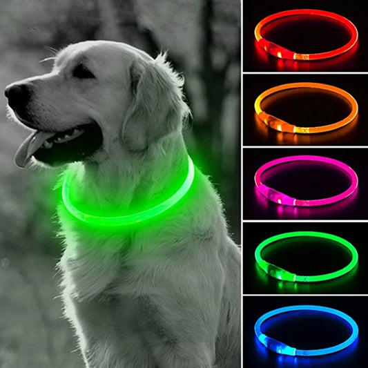 Dog Led Necklace