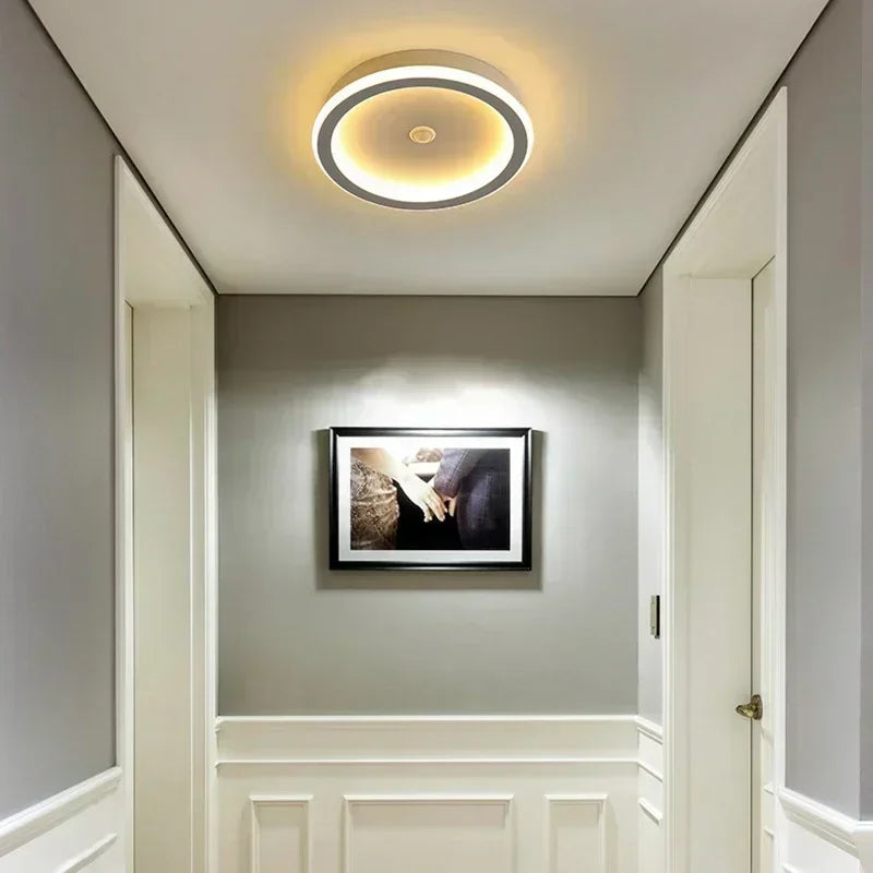 Modern LED Ceiling Lamp