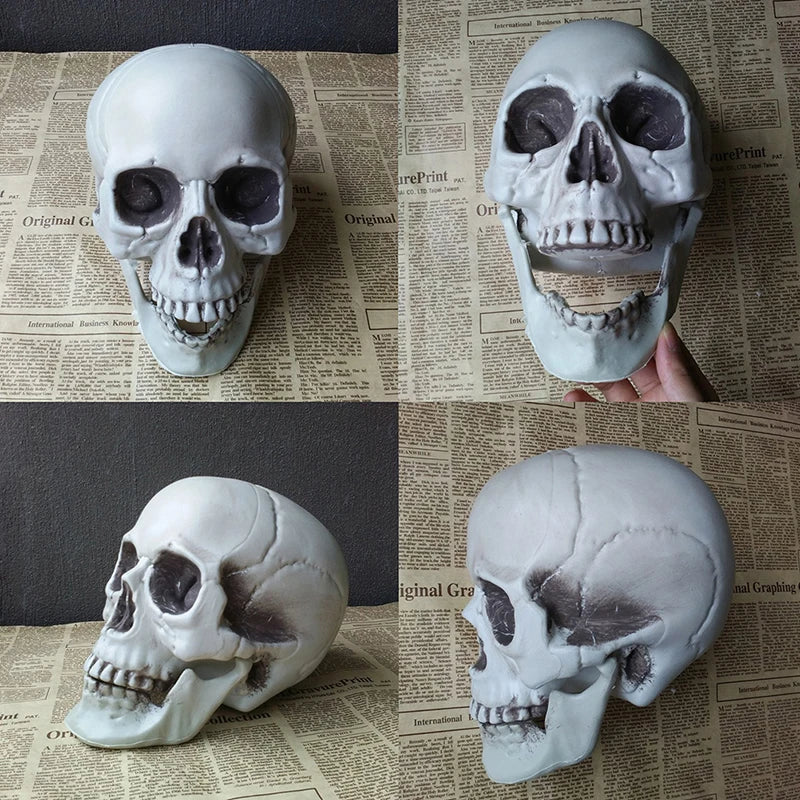 Skull Statues