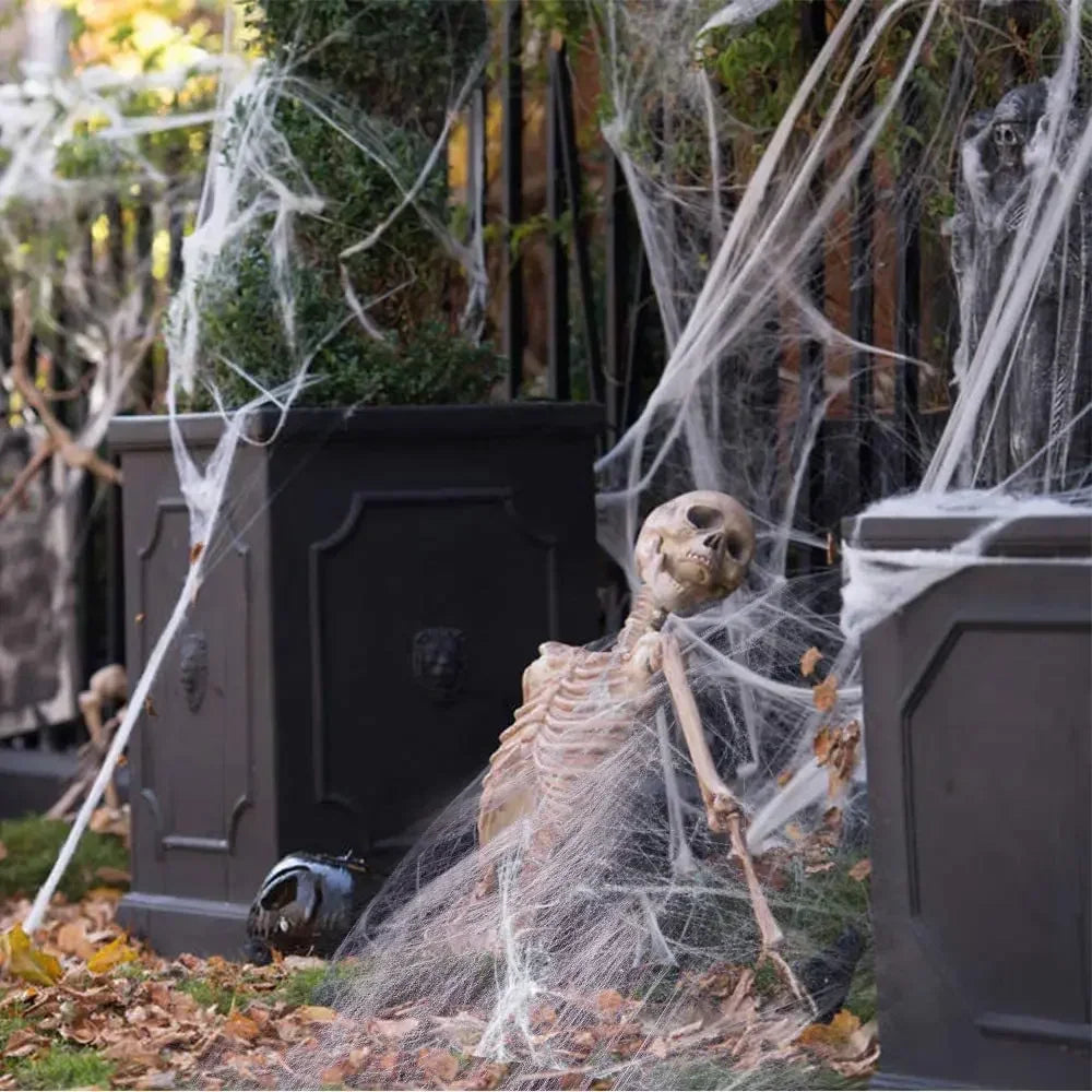 Halloween Elastic Spider Web