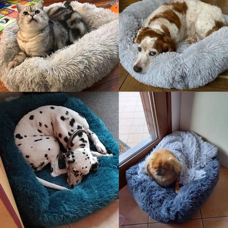 Rectangle Plush Dog Bed