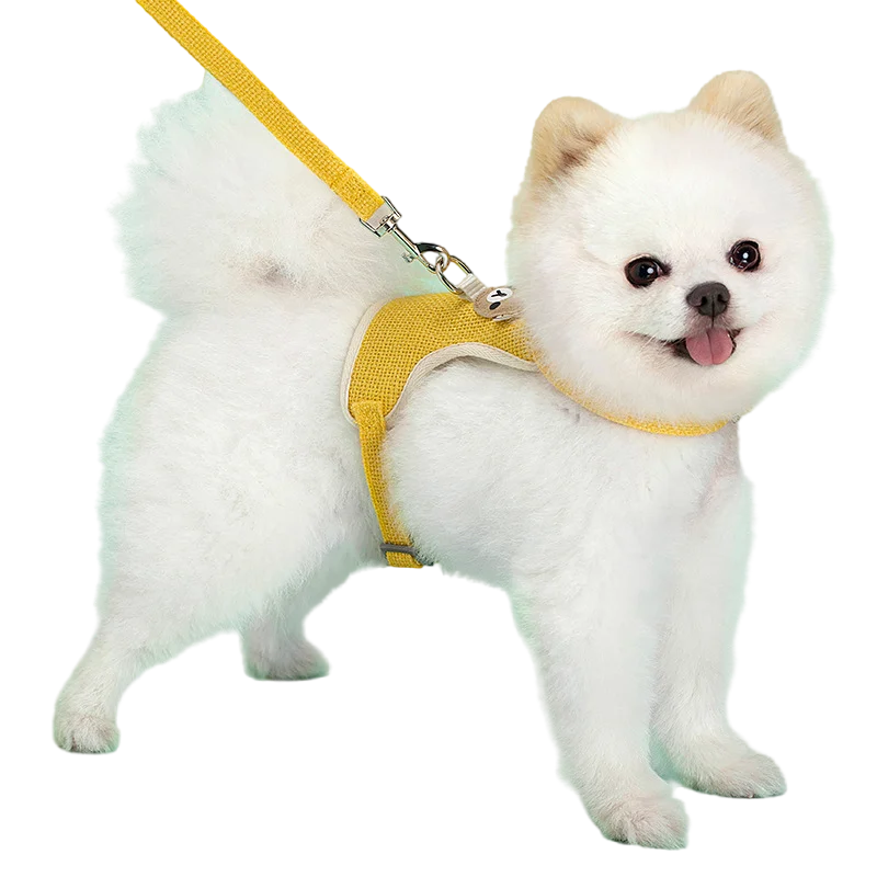 Cute Harness Leash