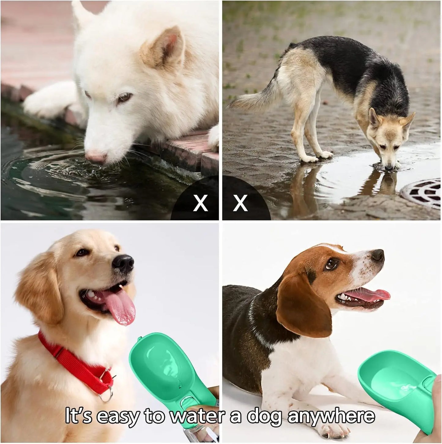 Portable Dog Water Bottle