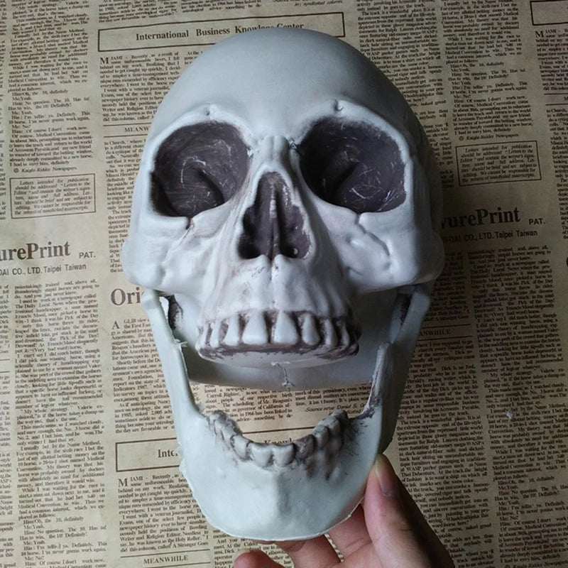 Skull Statues