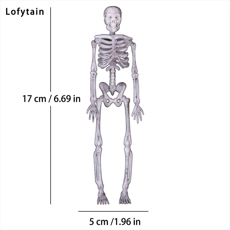 Human's Skeleton Simulation