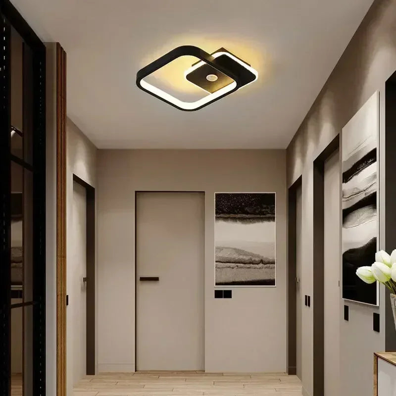 Modern LED Ceiling Lamp