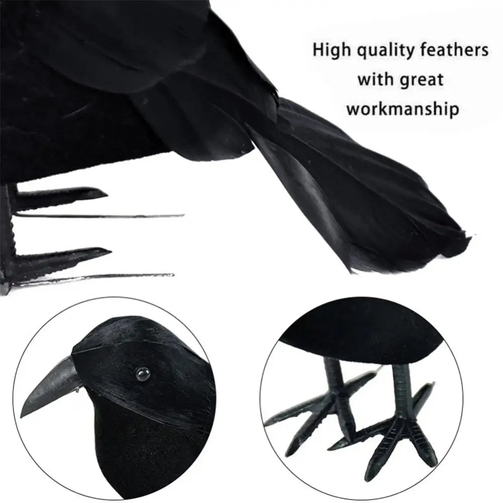 Black Crow Model