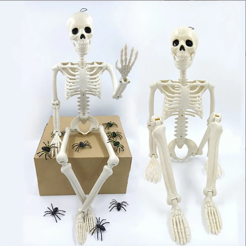 Halloween Human Shape Skeleton