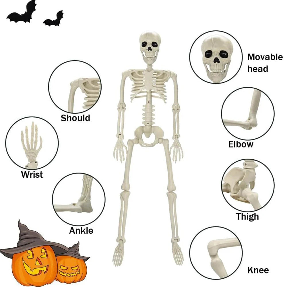 Halloween Human Shape Skeleton