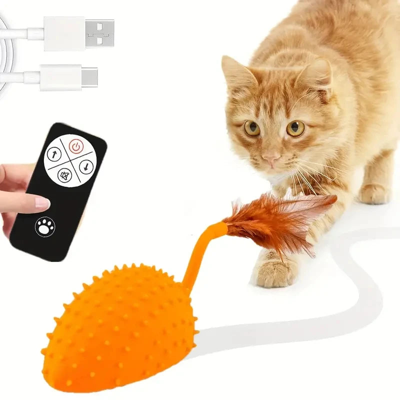 Interactive Cat Toy