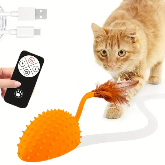 Interactive Cat Toy