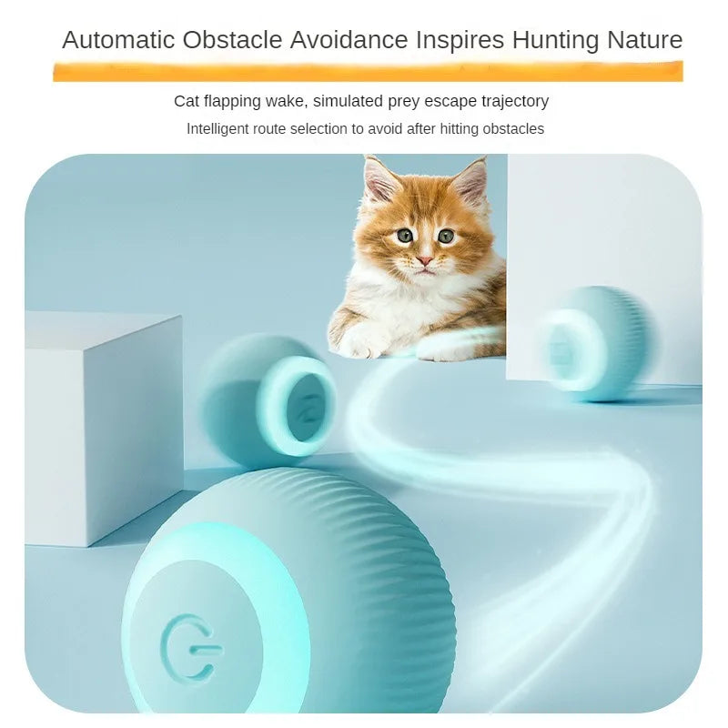 Automatic Moving Cats Ball