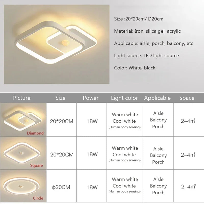 Modern LED Ceiling Lamp