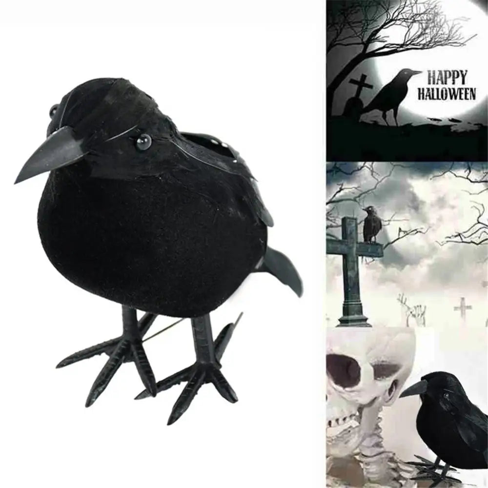 Black Crow Model