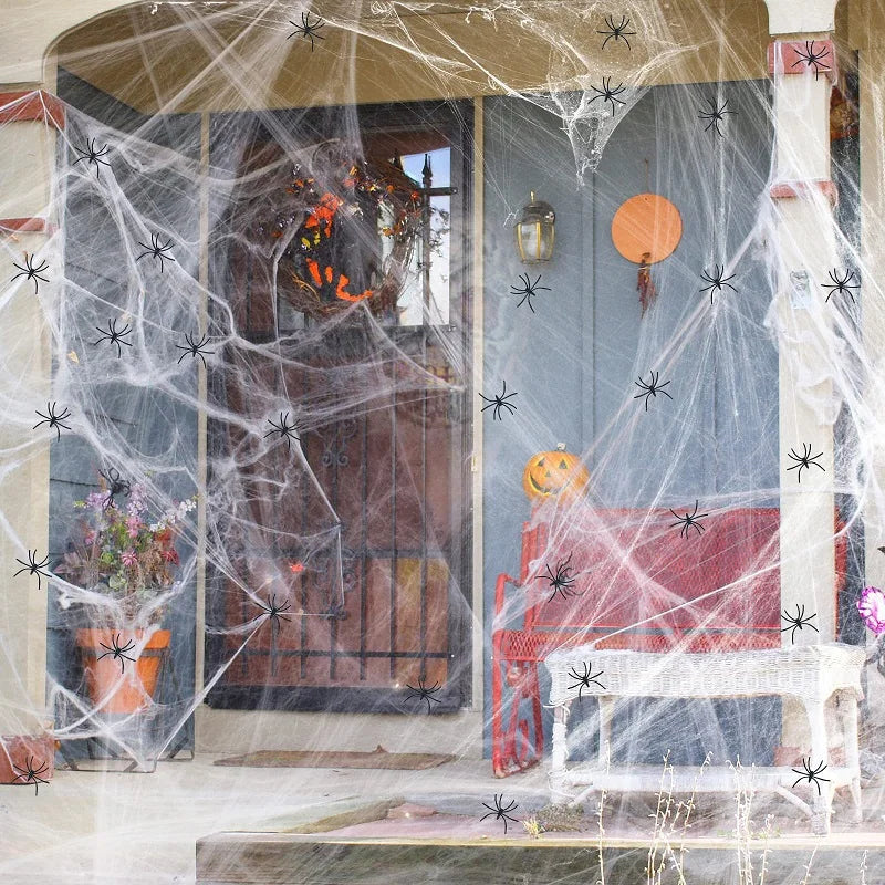 Halloween Decoration Spider Web