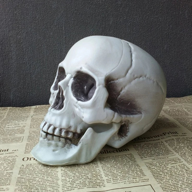 Skull Statues