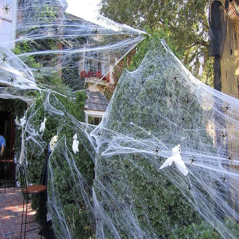 Halloween Decoration Spider Web