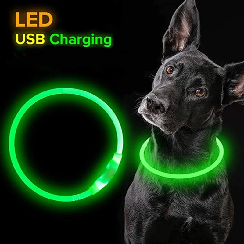 Dog Led Necklace