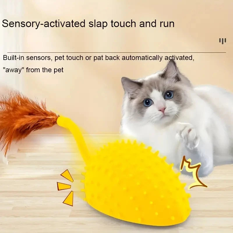 Interactive Cat Toy