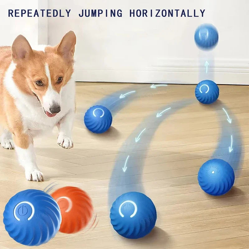 Smart Dog Toy Ball