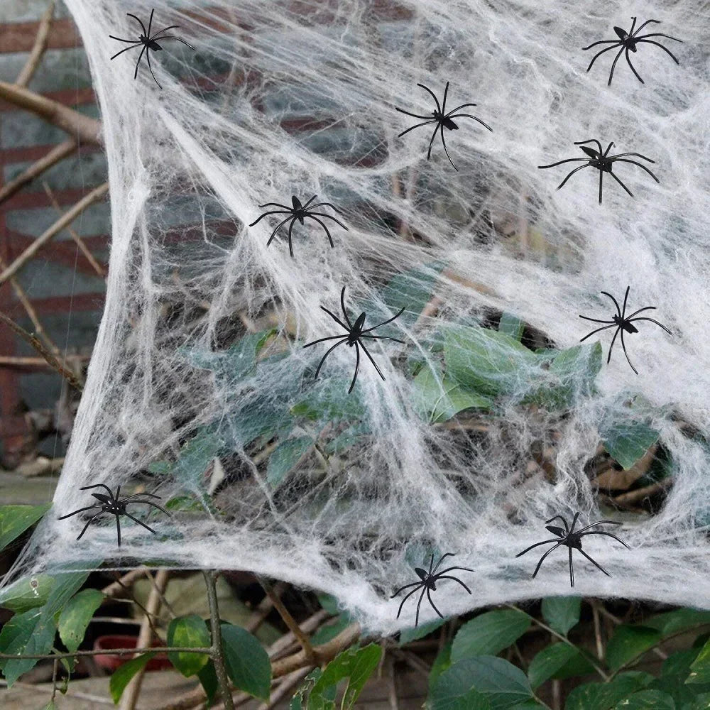 Halloween Elastic Spider Web