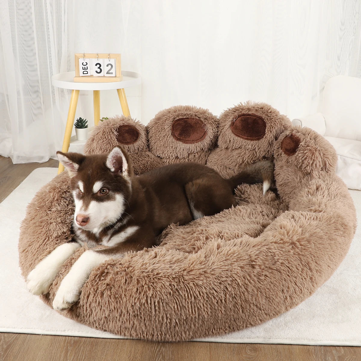 Dog Sofa/Beds