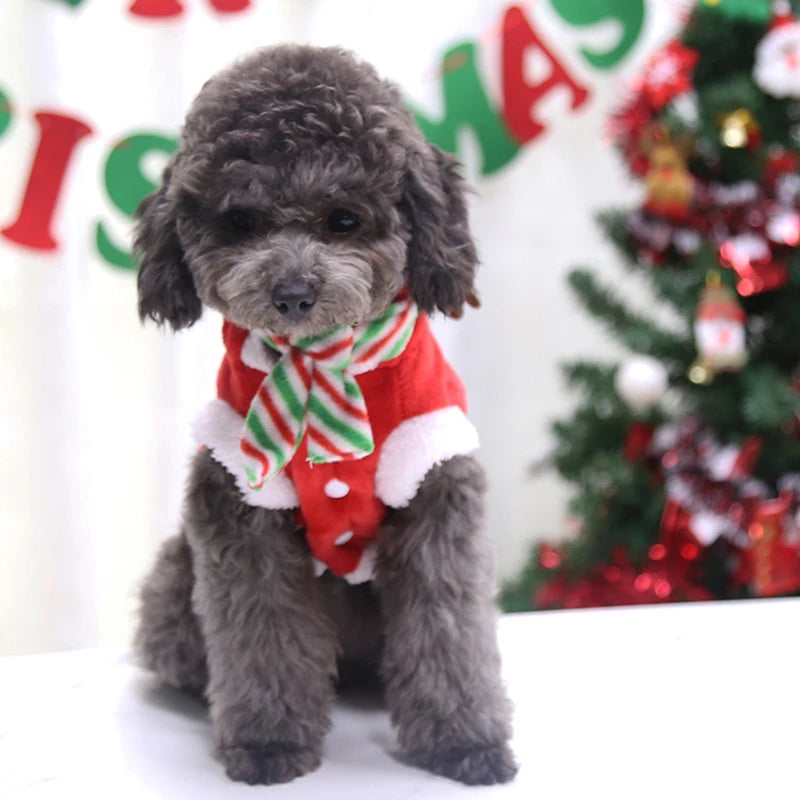 Christmas Dog Clothes