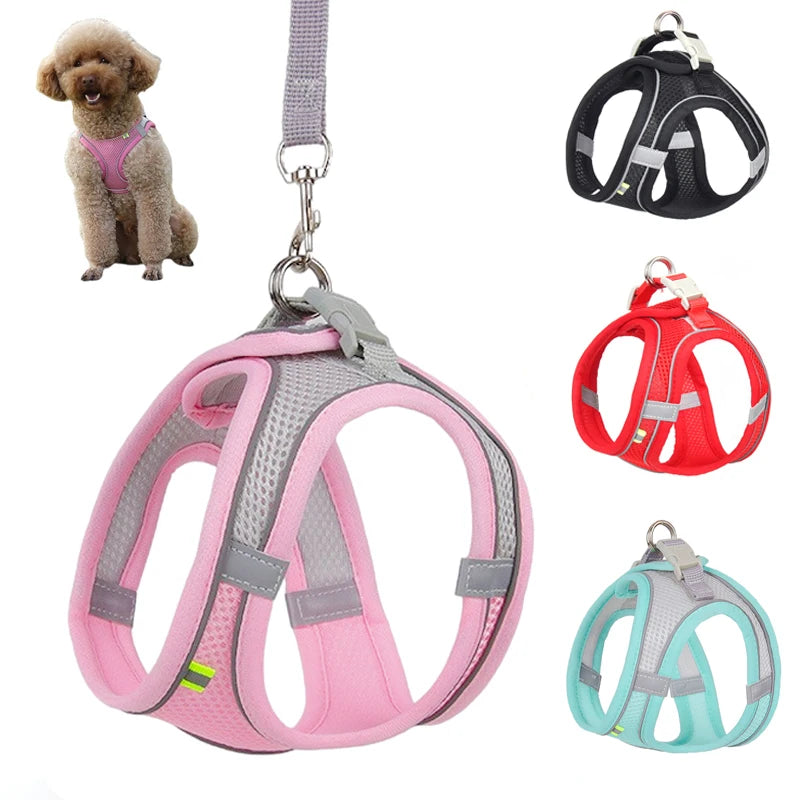 Dog Vest and Leash