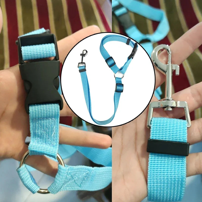 Two-in-One Pet Seat Belt