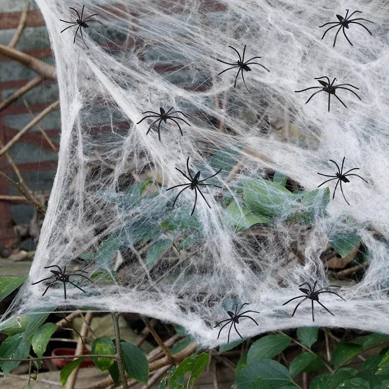 Halloween Decoration Spider Web