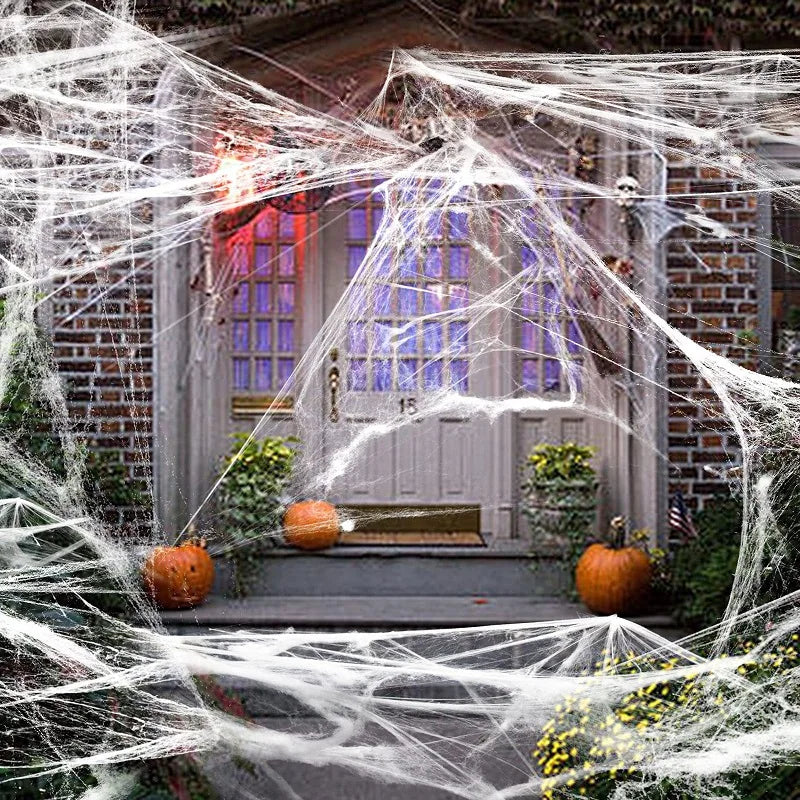 Halloween Decoration Spider Web