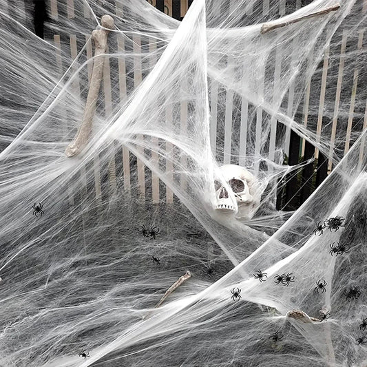 Spider Web