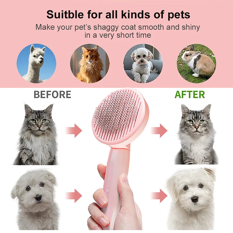 Pet Brush