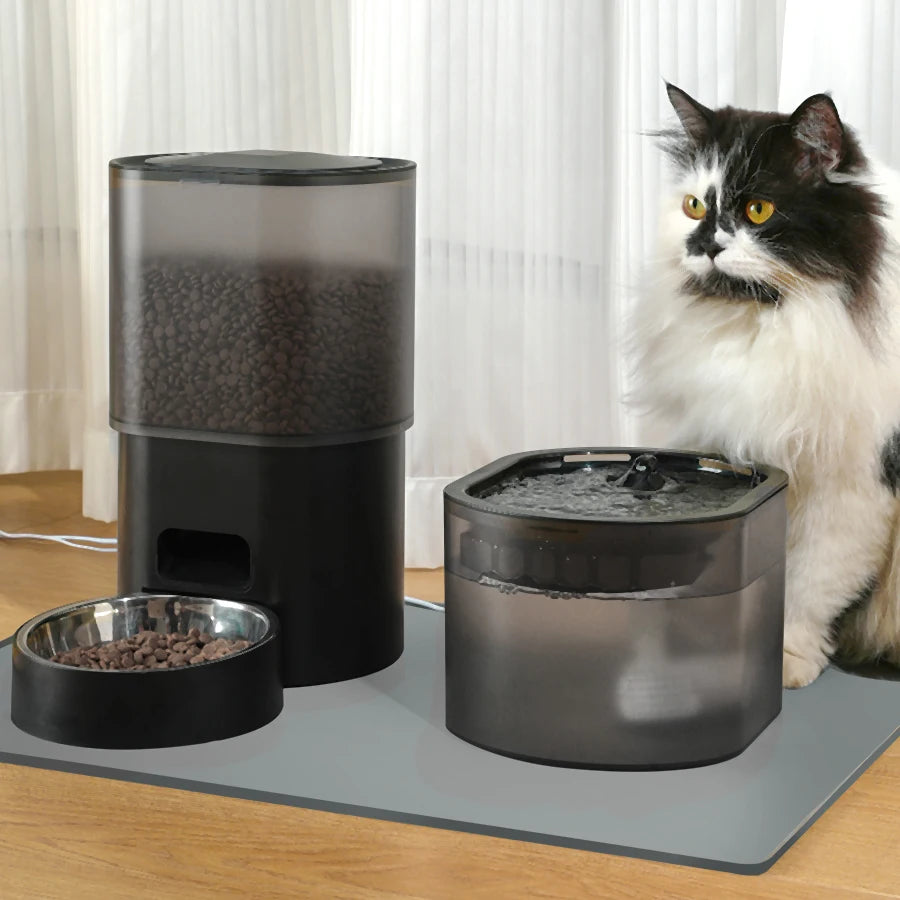 Automatic Cat Feeder