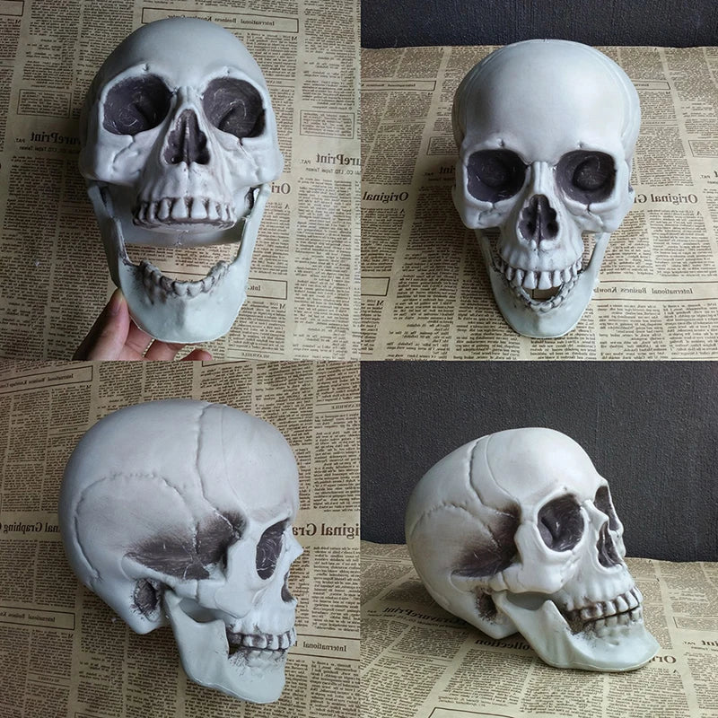 Skull Statues